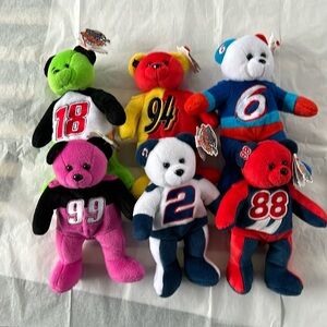 NASCAR bears